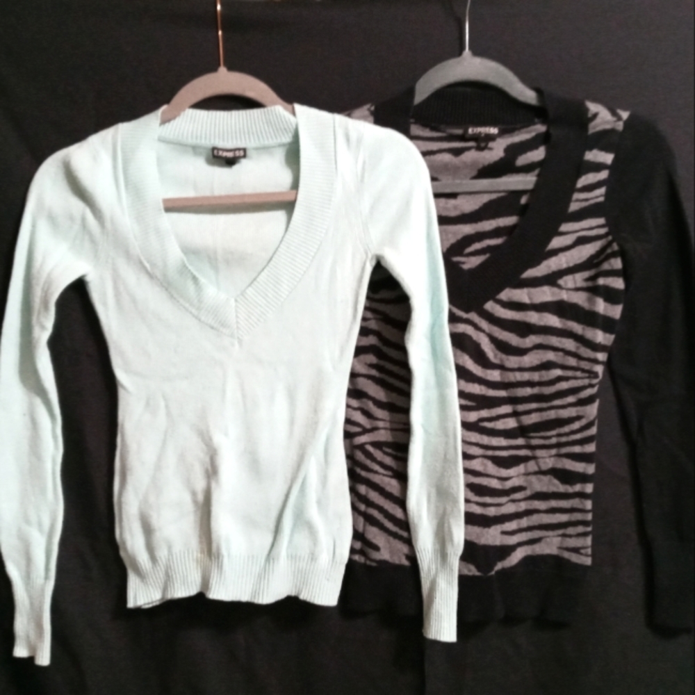 Express V-Neck Sweater Bundle